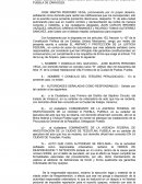 AMPARO RECURSO DE REVISION