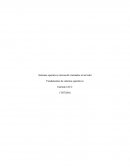 Los Fundamentos de sistemas operativos.