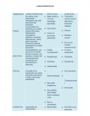 CARACTERISTICAS DIMENSION CARACTERISTICAS