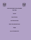 Entrevista a Psicologo.