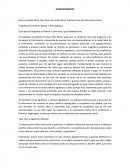 Que es la enfermería, Que hacen las enfermeras, El esfuerzo de las enfermeras, labor,