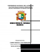 INFORME DE PRÁCTICAS PRE - PROFESIONALES