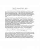 ¿Qué es el sentido de la vida?