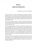Ensayo Diario de un seductor.