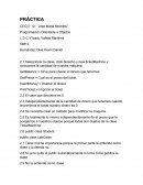 Practicas de programacion