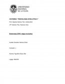 CÁTEDRA “PSICOLOGIA EVOLUTIVA I”