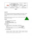 Programa de produccion.