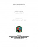 COSTO OPERATIVO VEHICULAR.