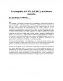 Estudiante de Relaciones Internacionales.