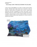 Guía de trabajo: FLORA Y FAUNA DE LOS OCEANOS Y DE LOS LAGOS.