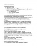 Tema- Broncodilatadores