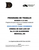 ﻿Programa de trabajo Regreso a la vida