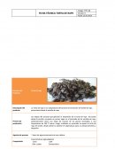 FICHA TÉCNICA TORTA DE RAPS