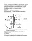 El Consejo para la Reducción de los Accidentes Industriales Mayores (CRAIM), publica una Guía para la Administración de los Riesgos.
