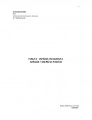 TAREA ANÁLISIS Y DISEÑO DE PUESTOS