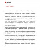 Cuando se refiere al tipo de proyecto se debe tener a consideración el cómo se realizará el proyecto, si este será nuevo(creación) o se realizará uno ya existente (mejoramiento, optimización, etc.) en este caso se trata de la creación de una empre