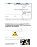 Clasificación de alimentos y prevención de contaminación en la cocina