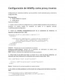 Configuración de Wildfly como proxy inverso.