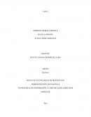 SEW WHAT? INC. EL PAPEL DE LA TECNOLOGÍA DE LA INFORMACIÓN EN PEQUEÑAS EMPRESAS DE ÉXITO