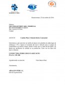 SOCCIEDAD PORTUARIA TERMINAL DE CONTENEDORES TC-BUEN