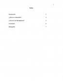 Buscador y Navegador