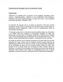 Importancia del lenguaje oral en la educación inicial