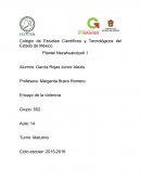 Ensayo de la violencia.
