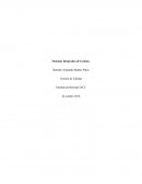 Defina con sus propias palabras el concepto de SIG, ventajas y desventajas de la implementación y describa las etapas para su implementación.