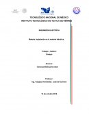 Ensayo de reformar energeticas.