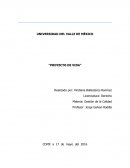 PROYECTO DE VIDA CALIDAD PERSONAL LOS VALORES Y PRINCIPIOS MORALES