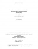 Programa zootecnia Sistema de producción cunícola