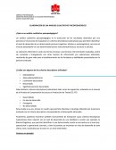 ELABORACIÓN DE UN ANÁLISIS CUALITATIVO PSICOPEDAGÓGICO