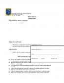 Matemáticas Octavo Año Eje temático: álgebra y funciones