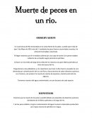 Muerte de los peces en un rio.