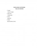 GASTRONOMIA REGION ANDINA.