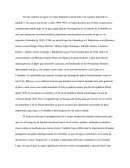 Opinion sobre el Capitulo 8 de Colombia una nación a pesar de si misma.