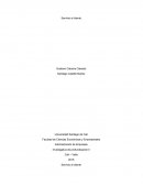 Monografia servicio al cliente.