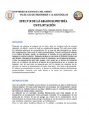 FACULTAD DE INGENIERIA Y CS. GEOLÓGICAS EFECTO DE LA GRANULOMETRÍA