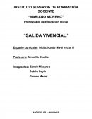 Experiencia vivencial , nivel incial.