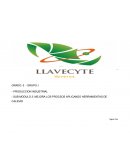 MEJORA LOS PROCSOS APLICANDO HERRAMIENTAS DE CALIDAD