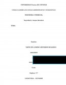 INGENIERIA COMERCIAL Seguridad y riesgos laborales