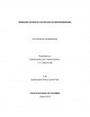 SEMINARIO DOCENCIA CON ENFASIS EN MICROENSEÑANZA.