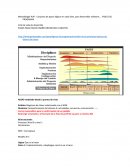 Ciclo de vida de desarrollo PASOS PARA HACER DISEÑO ORIENTADO A OBJETOS