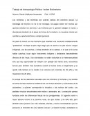 Trabajo de Antropología Política 1 sobre Bricherismo