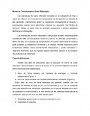 Muros de Tierra Armada con Fachada Geosintetica.