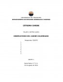 CÁTEDRA CARIBE TALLER 2 (EXTRA CLASE)