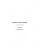 Herramientas para la aplicación de una estrategia.