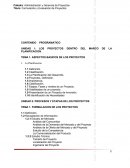 UNIDAD I: LOS PROYECTOS DENTRO DEL MARCO DE LA PLANIFICACION. TEMA 1. ASPECTOS BASICOS DE LOS PROYECTOS