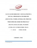 MONOGRAFIA II- TEORIA GENERAL DEL PROCESO- SILVA IPARRAGUIRRE THALIA.