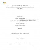 CONCEPTOS BÁSICOS Y NORMATIVIDAD INSTITUCIONAL ALTERNATIVAS PARA GRADO.